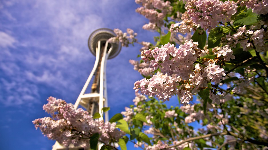 9 lugares para ver las flores de primavera en Seattle