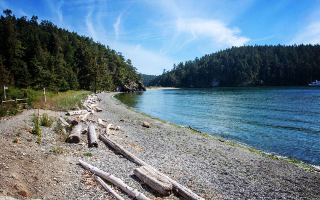 Al aire libre: los parques estatales de Washington ofrecen acceso gratuito en junio